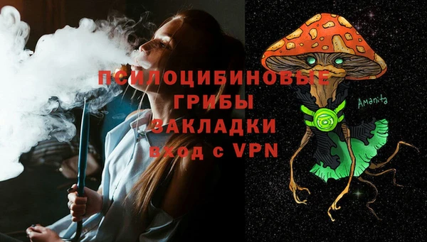 Альфа ПВП Алексин