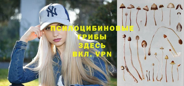 Альфа ПВП Алексин