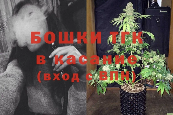 индика Алексеевка